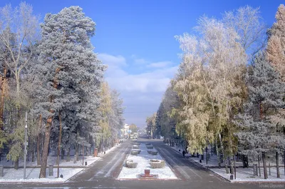 Томск. Лагерный сад. фото: Лилия Королькова – Это Сибирь!