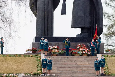 Лагерный сад | Пикабу