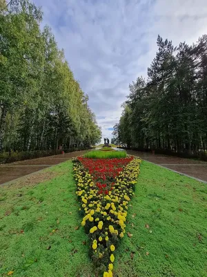 Туристический гид по Томской области