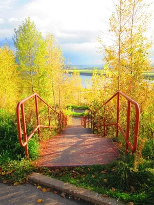 Лагерный сад в Томске - фото, отзывы 2024, рейтинг, телефон и адрес