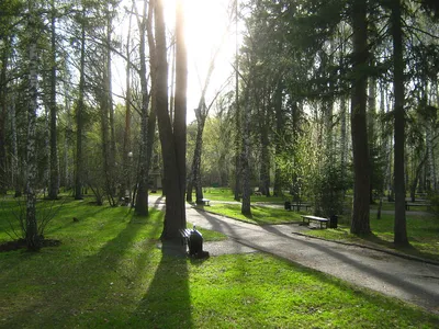 Лагерный сад — подробное описание, адрес и фото