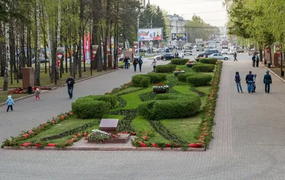 100 тысяч цветов посадят в Лагерном саду | 16.06.2020 | Томск - БезФормата
