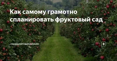 Плодовые деревья в ландшафтном дизайне