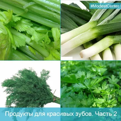 Лук порей — польза, как приготовить и есть, идеи блюд из уникального  продукта / NV