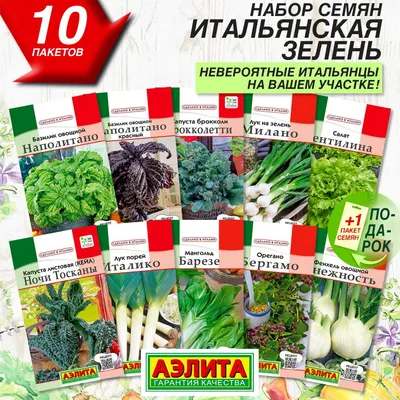 Салат-латук