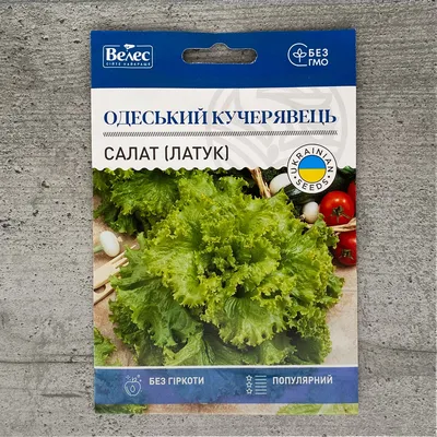 овощи лук огород ужин PNG , латук, кухня, овощ PNG рисунок для бесплатной  загрузки