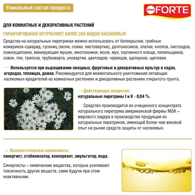 О каких насекомых в доме мы можем даже не подозревать: информационные  статьи от компании «Август»