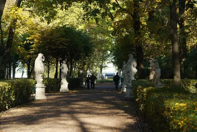 File:Летний сад. Главная аллея до реконструкции. Скульптура. 2008 г..JPG -  Wikimedia Commons