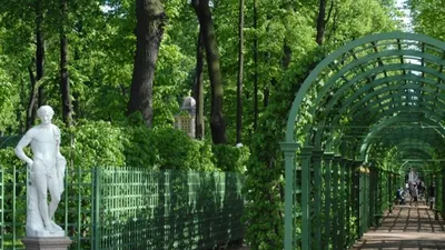 Общественности — глаз не спускать. Летний сад закроется на реставрацию
