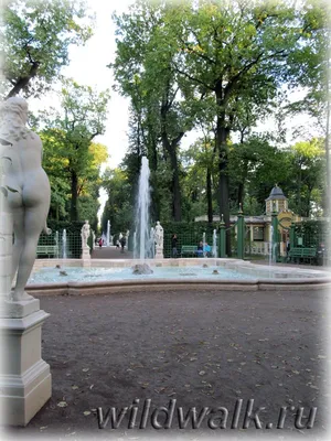 Летний сад (Санкт-Петербург - Ленинградская область)