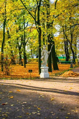 Летний Сад после реконструкции
