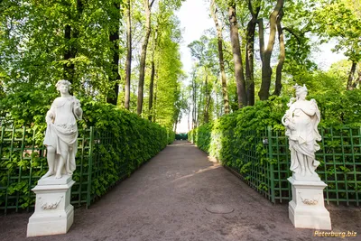 Аврора, жанровая скульптура, Санкт-Петербург, Центральный район,  муниципальный округ Дворцовый, Летний сад — Яндекс Карты