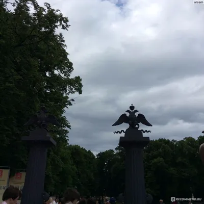 Экскурсии в Летний сад в Санкт-Петербурге в 2024 году🧭 — цены от 450 руб.  на январь-февраль 2024 года