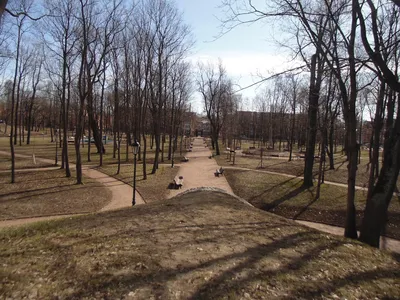 Летний сад, парк культуры и отдыха, Санкт-Петербург, Летний сад — Яндекс  Карты