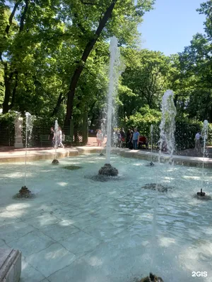 Летний сад