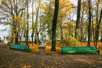 Верните нам Старый Летний Сад! Уберите шпалеры и клетки! Реквием по  старому, доброму Летнему Саду.