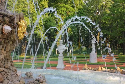 Кронштадт. Летний сад