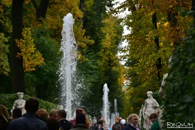 Летний сад в городе Санкт-Петербург