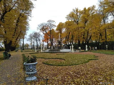 Летний сад осенью - Изобразительное искусство - Масло, акрил