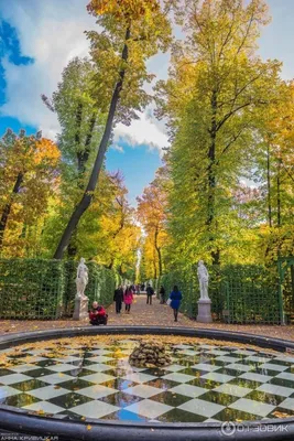 Фото Осенний Летний сад на фотохостинге Fotoload