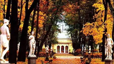КАРТИНА \"Летний сад, Санкт-Петербург\" Художник Александр АЛЕКСАНДРОВСКИЙ  Холст / Масло, 50х60 см