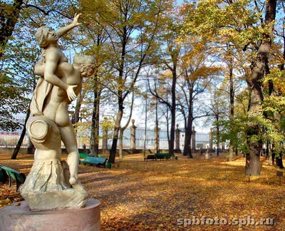 ЛЕТНИЙ САД. ОСЕНЬ