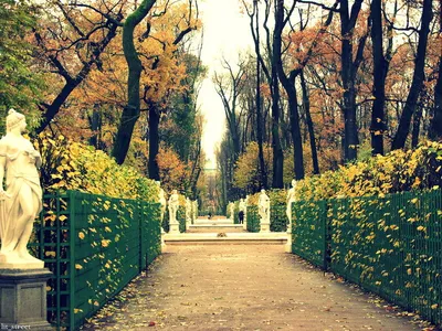 Летний сад осенью фото фотографии