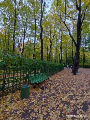 Дизайн студия Тристан. Галерея произведений изобразительного искусства  Лучший подарок. Печать на холсте.