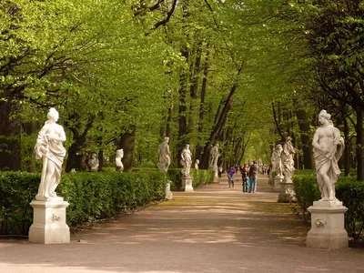 Летний сад в Санкт-Петербурге. Памятники, скульптуры, решетка, режим  работы, сайт, фото, как добраться, отели — Туристер.Ру