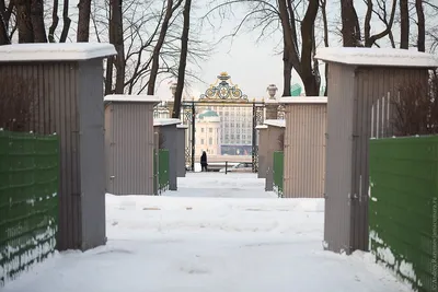 Летний сад города Санкт-Петербурга | Сады Русского Музея