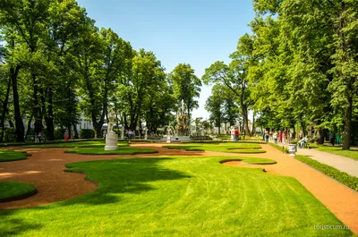 Летний сад открывает огород Петра Великого