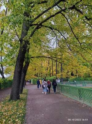 Путешествие. Летний сад. Санкт-Петербург. Россия. Summer garden.  [Путешествие] — Видео | ВКонтакте