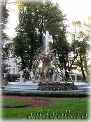 Решетка Летнего сада фото - Санкт-Петербург, спб - Фотографии и путешествия  © Андрей Панёвин