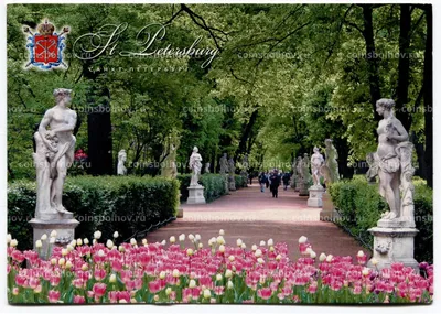 Летний сад в Петербурге