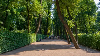 Летний сад в Санкт-Петербурге: как добраться, режим работы, история, фото