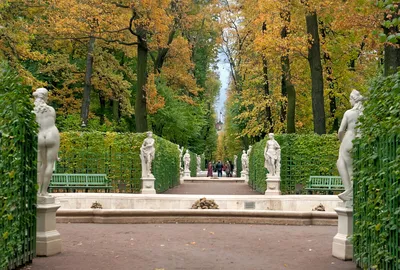 File:Санкт-Петербург, Летний сад. Статуя «Аполлон» 2.jpg - Wikimedia Commons