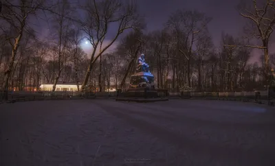 Летний сад в снегу