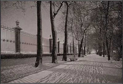 Летний сад зимой