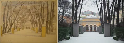 Стоит ли идти в петербуржский Летний сад зимой | Петров.Путешествия | Дзен