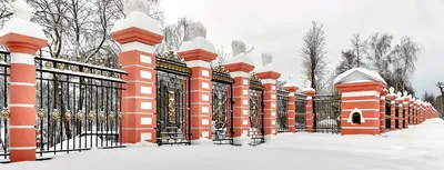 Фото: Летний сад в зимнем Петербурге.... Фотолюбитель Любовь Ключева.  Город. Фотосайт Расфокус.ру