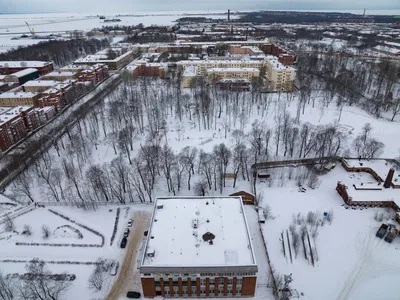 Зимние парки Санкт-Петербурга