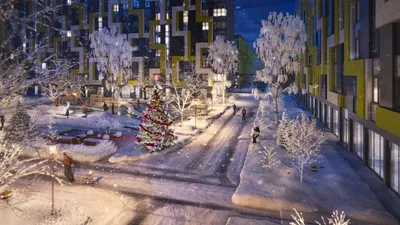 Работа приниматься не будет, спасибо подрядчику за благотворительность\". В  Летнем саду Тихвина сажают деревья прямо в сугробы - фото › Статьи ›  47новостей из Ленинградской области
