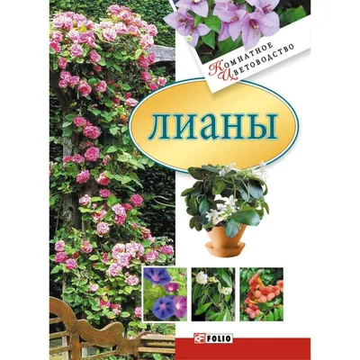 Клематисы и лианы: выращивание и уход