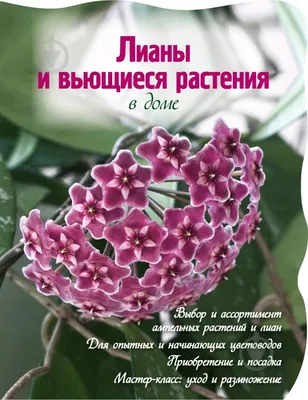 Как вырастить быстрорастущие цветущие лианы для украшения сада