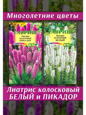 Лиатрис колосковый Кобальд С2 купить с доставкой в МЕГАСТРОЙ Россия