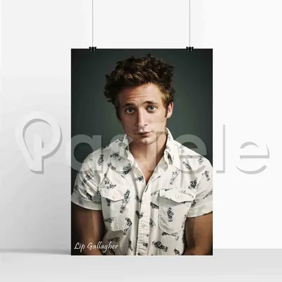 Ответ пользователю @1562585t #бесстыжие #ли #галлагер #тилогия #shamel... |  TikTok