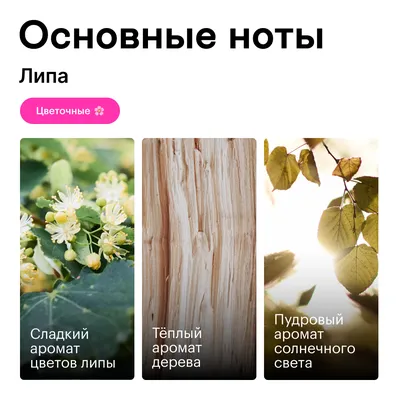 Липа листья с цветками сушеный 2023р. - 0.5 кг (ID#1578388419), цена:  175.50 ₴, купить на Prom.ua