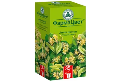 Липа европейская 'Pallida' (Tilia europaea 'Pallida') купить саженцы в  питомнике «Venev»