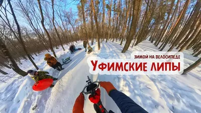 Снов-Козлы-Липа-Хвоево. По достопримечательностям