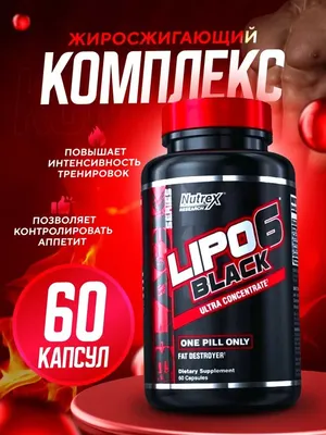 Nutrex Lipo 6 Black Training Pre-workout 30 serv | Bear Gym Pattaya